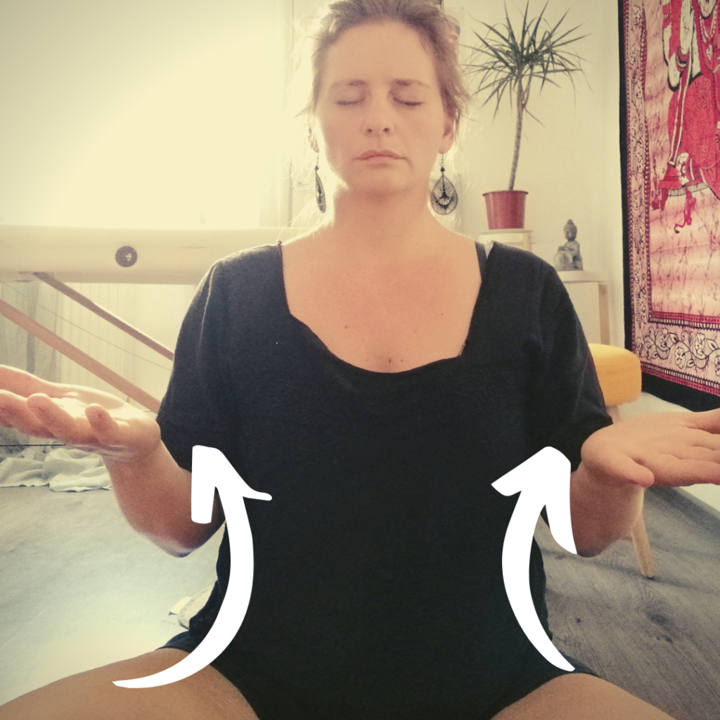 description des mouveents de mains pour la méditation