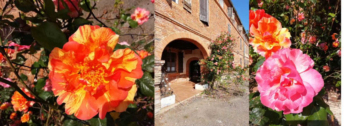 yoga au domaine st nicolas Montech